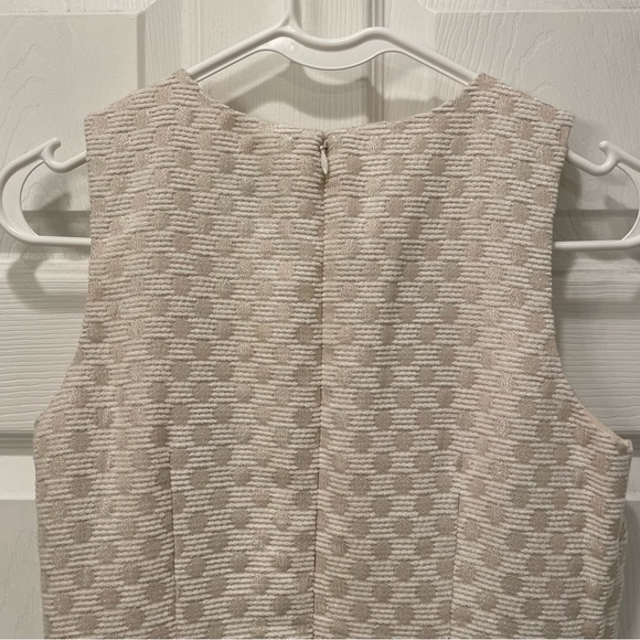 Ann Taylor Polka Dot Dress - Picture 5 of 16